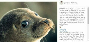 حمایت پانتهآ پناهیها از حیوانات