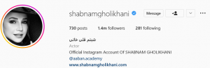 صفحه اینستاگرام شبنم قلی‌خانی