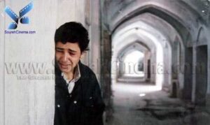 عمار تفتی در فیلم نون و گلدون