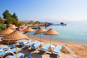 با فلای تودی از تخفیفات ویژه مطلع شوید