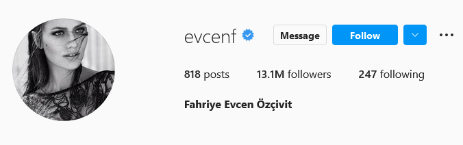 صفحه اینستاگرام فحریه اوجن