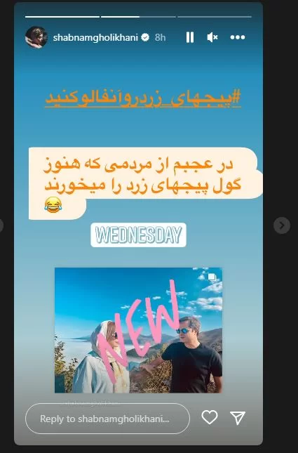 واکنش عجیب شبنم قلی خانی به ماجرای طلاقش