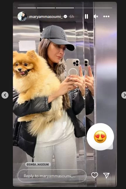 باورتان میشود این سگ بامزه حیوان خانگی مریم معصومی باشد ؟