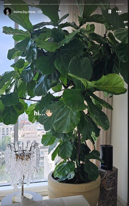 نگاهی به دکوراسیون منزل زوج هنری بهرام رادان و مینا مختاری!