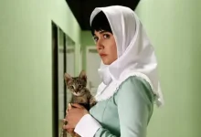 سرریز